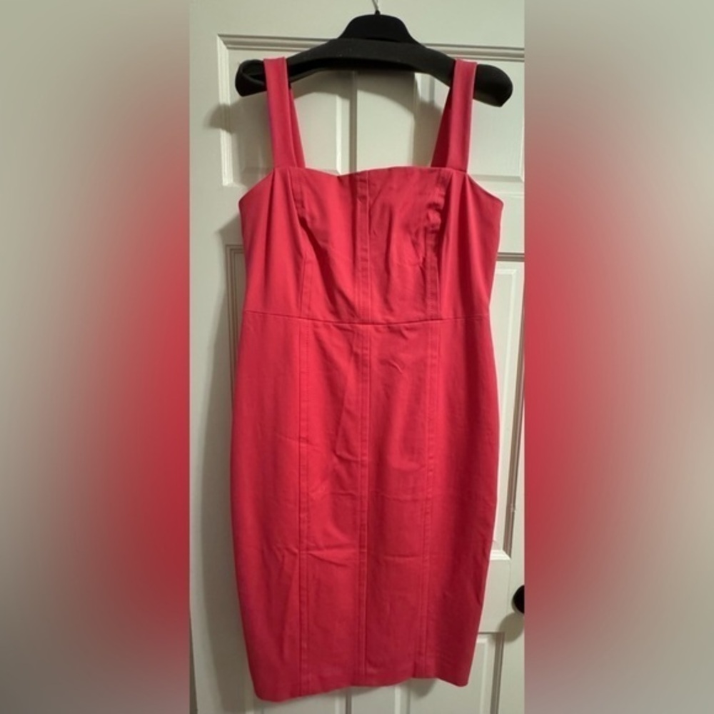 NWT Banana Republic Sheath Dress (14P)